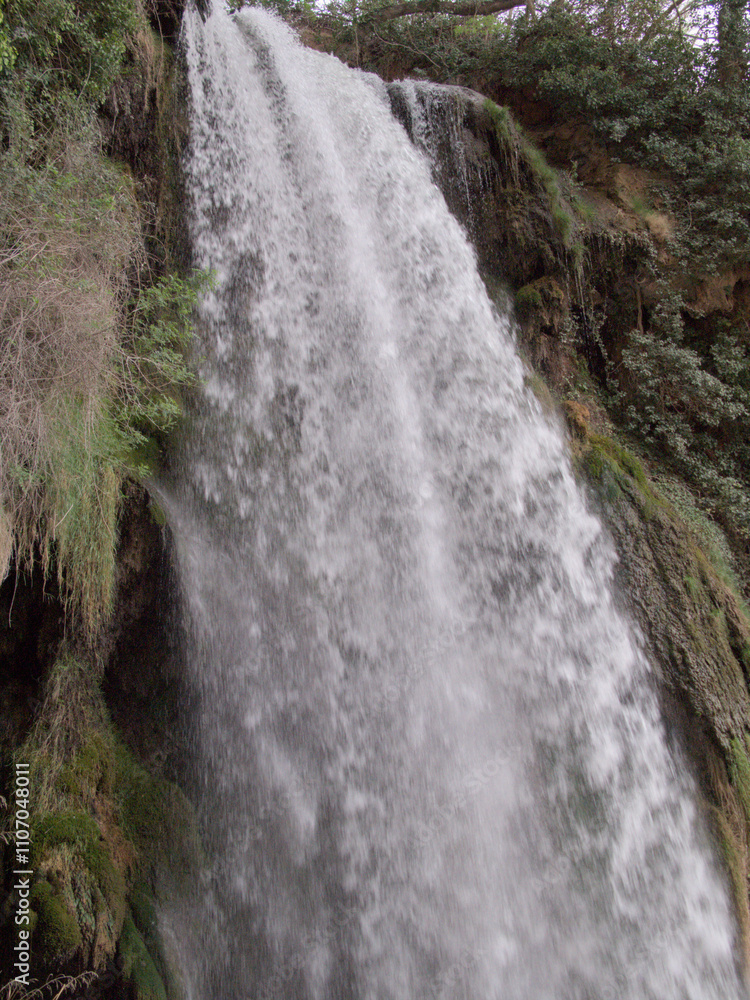 Obraz premium waterfall in the forest