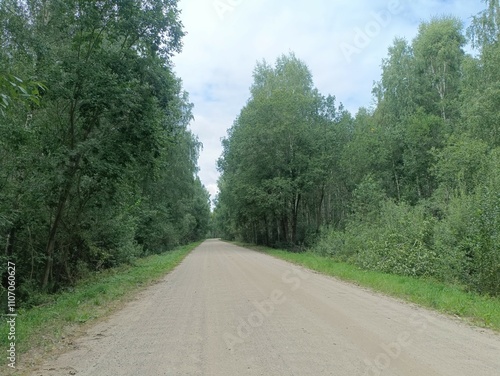 Rekyva forest during cloudy summer day. Pine and birch tree woodland. Blueberry bushes are growing in woods. Cloudy day with white and gray clouds in sky. Summer season. Nature. Rekyvos miskas.