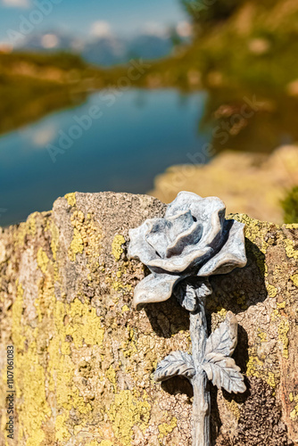 Details of a stone rose at Mount Goldried, Matrei, Eastern Tyrol, Austria photo