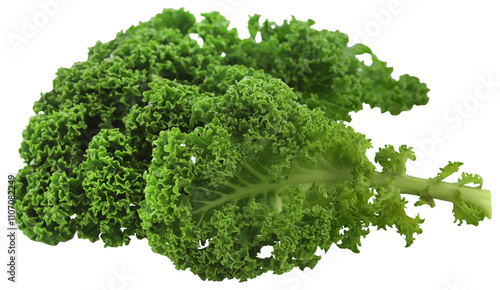 Kale or leaf cabbage photo