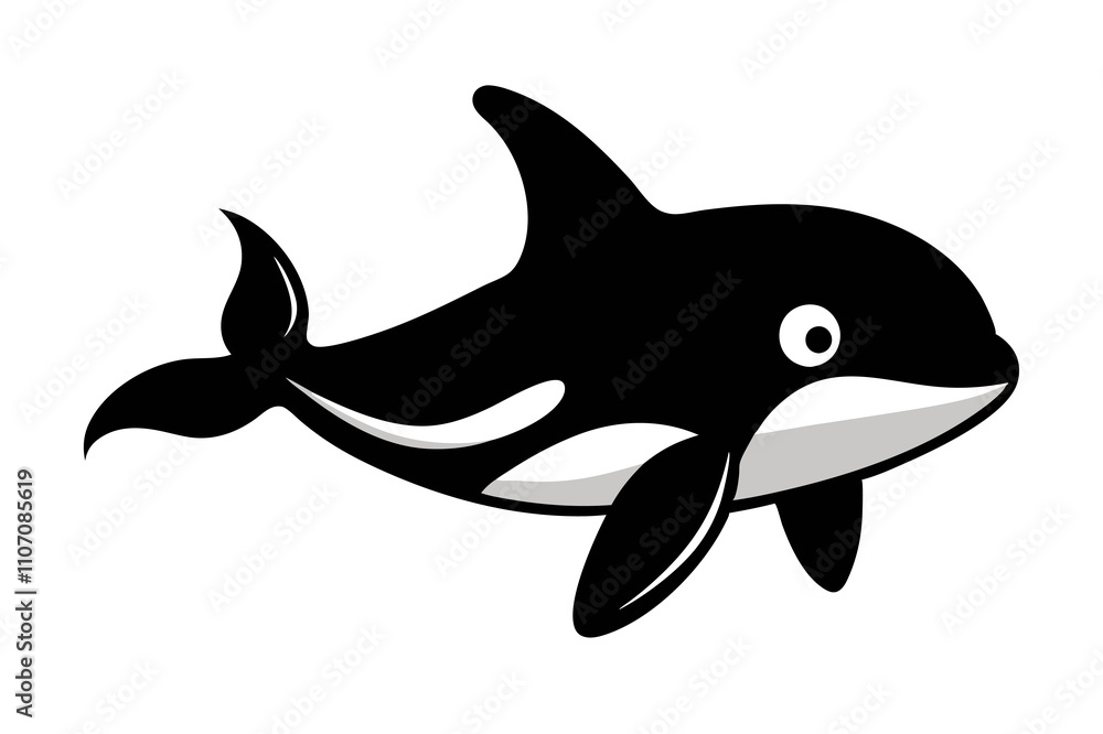 orca killer whale isolated on white background orca killer whale isolated on white background