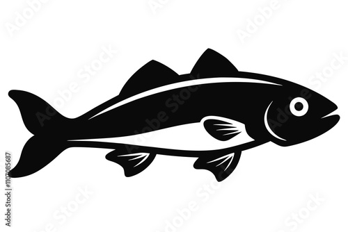 atlantic cod fish on white background