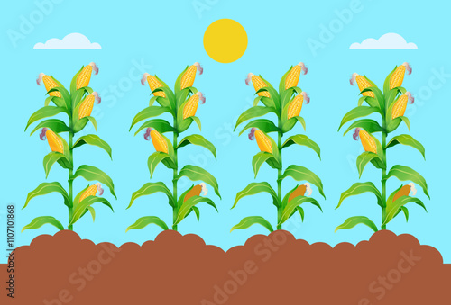 Corn Concept Illustration Stylish and Beautiful