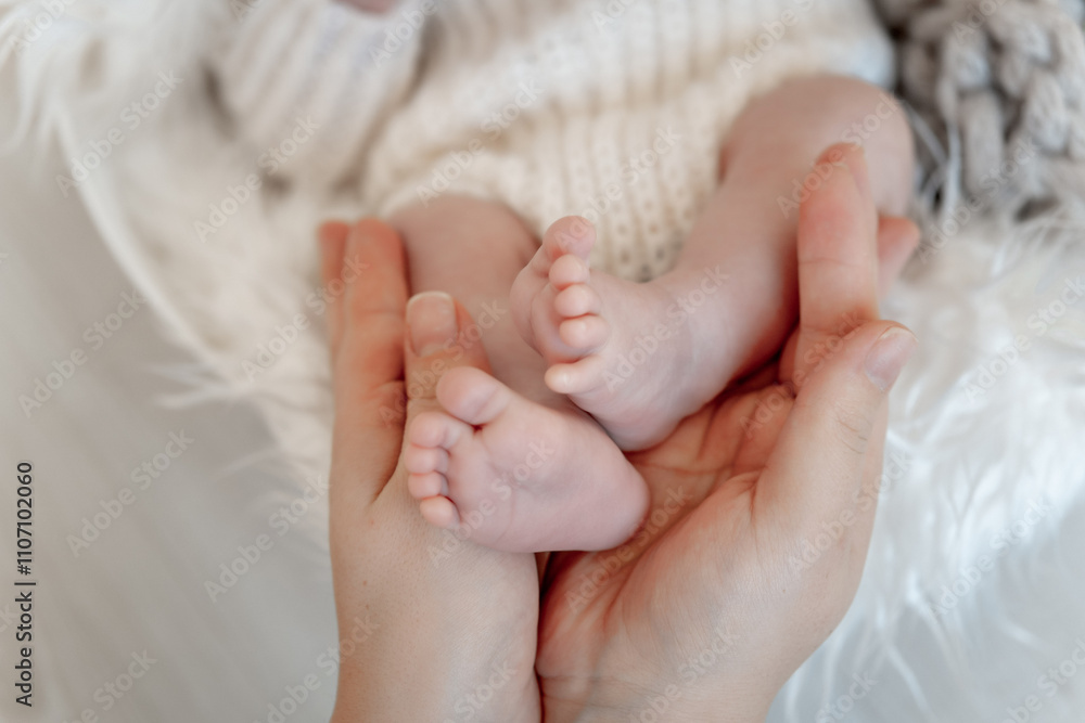 the legs of a newborn baby in mom's arms on a white background or in a crib, a place for text, mom holds the baby in her arms. the legs of a newborn baby in mom's arms on a white background or in a crib, a place for text, mom holds the baby in her arms.