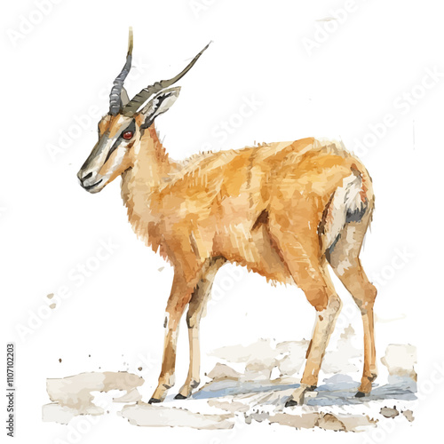 A watercolor illustration of a Saiga, isolated on a white background. Saiga vector.