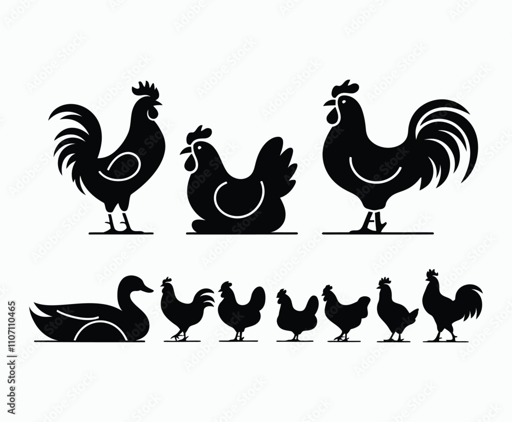 Obraz premium Natural Poultry Silhouettes Vector Collection Template