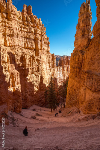 Hoodoos of Bryce Canyon in Utah