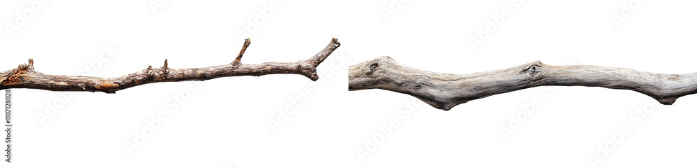 Naklejka premium set of a driftwood branch isolated on a transparent background