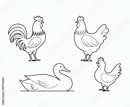Soft Outline Line Poultry Silhouettes Collection Vector Template
