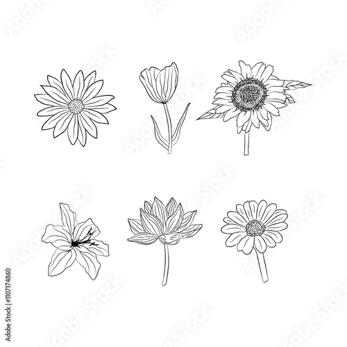 Collection of hand drawn flower elements vector design template. Hand drawn retro style blossom illustration.