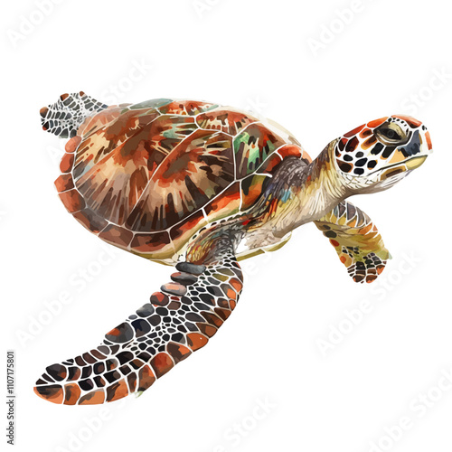 A watercolor drawing of a Sea Turtle, isolated on a white background. Sea Turtle vector.