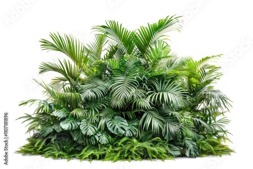 Lush tropical green foliage plants