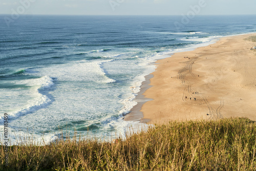 A breathtaking aerial view of a sandy beach and crystalclear ocean waters from a majestic cliff surrounded by lush greenery and coastal landforms. Nazare, Portugal photo