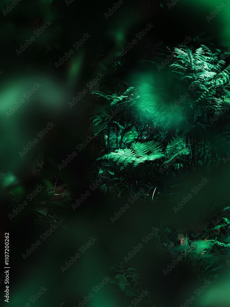 green forest in the night green forest in the night