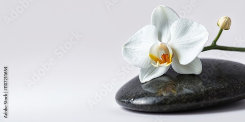 Close up shot of a white orchid flower covered in stone-like water droplets, studio shot, stone water drops