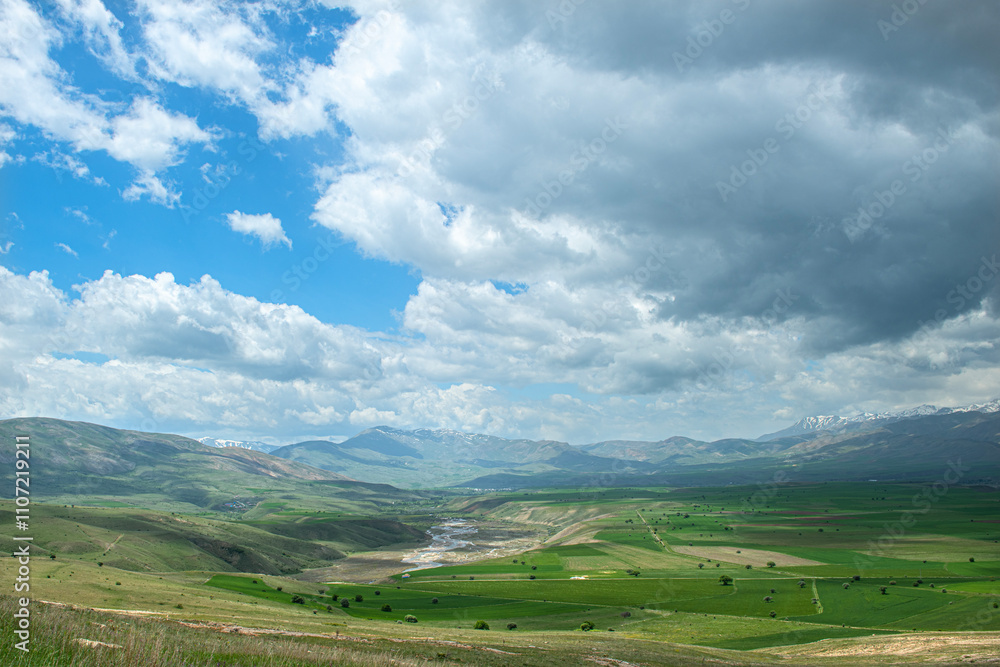 Obraz premium Green meadows blooming in spring and snowy mountains in the background. Green flat plains in cloudy sunny weather. Erzincan, Türkiye.