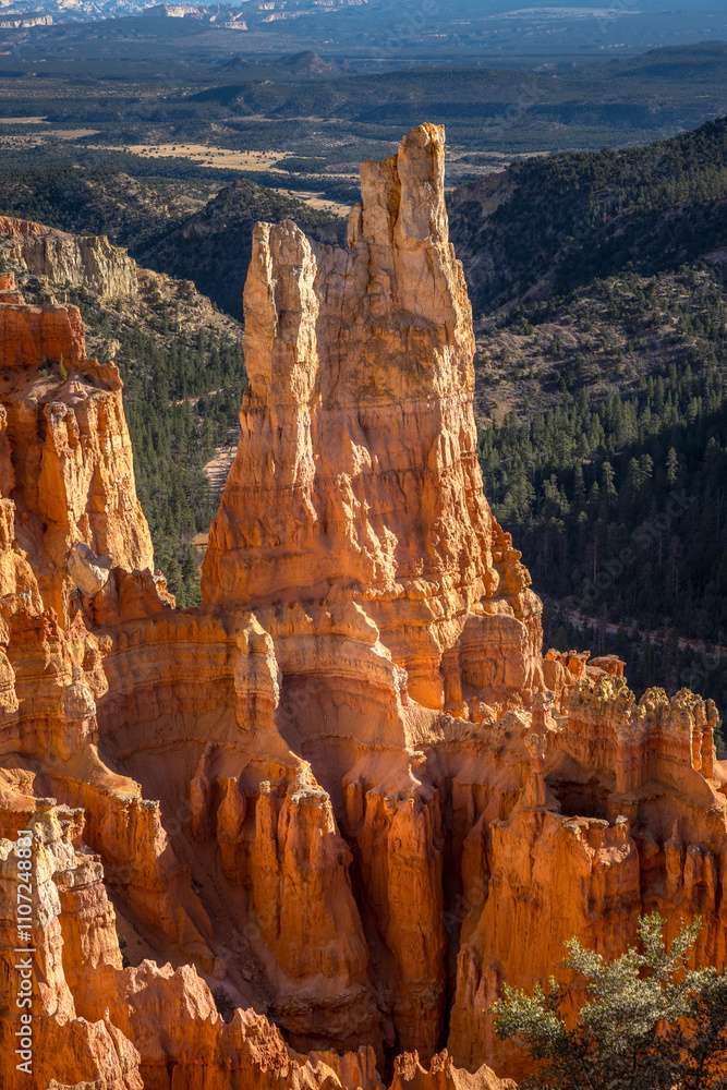 Hoodoo formations in Bryce Canyon