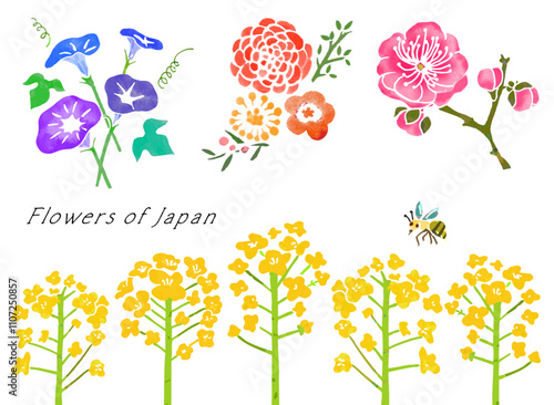 柔らかいタッチの和風花のベクターイラスト