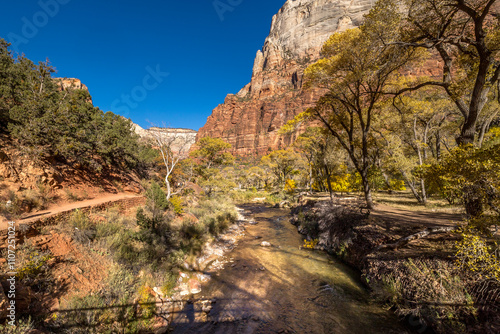 Obraz na płótnie Scenic view of Virgin River in Zion Canyon w salonie