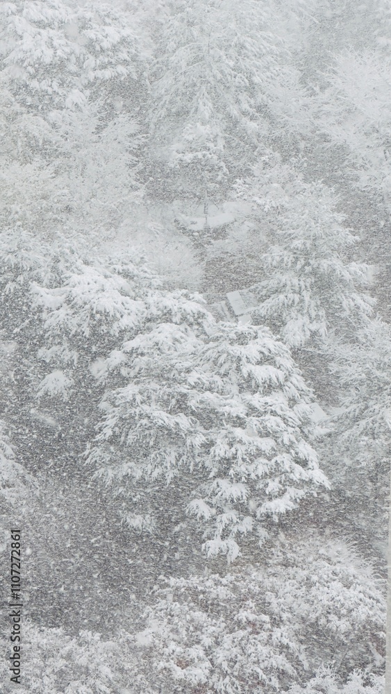 Fototapeta premium heavy snow in winter