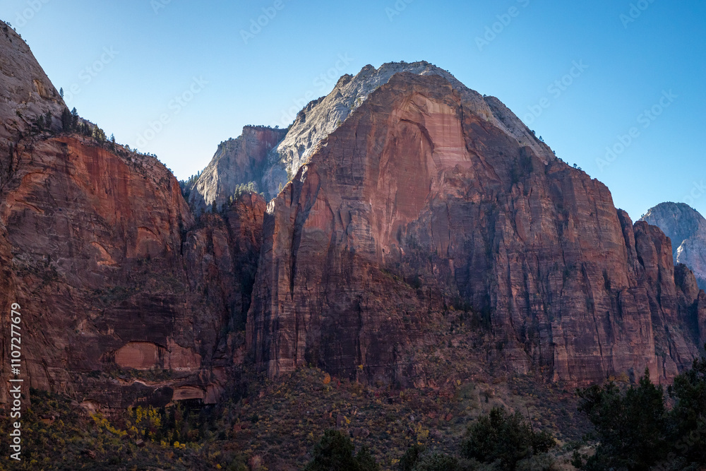 Cliffs rise above Zion's stunning trails