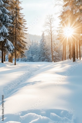 A snowy forest with a path through it. The sun is shining brightly, casting a warm glow on the snow. The scene is peaceful and serene, with the snow-covered trees