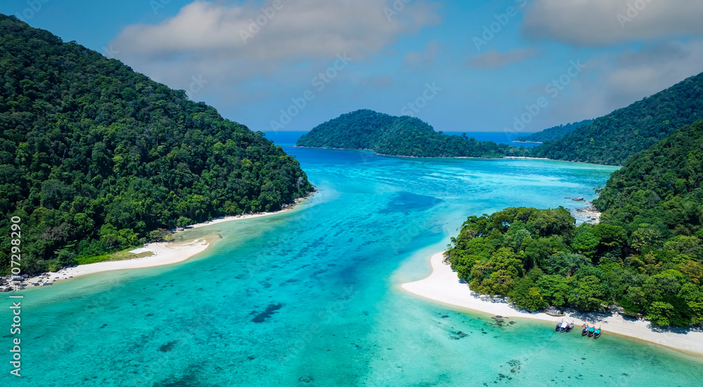 Fototapeta premium Aerail view of green forest and the sea. natural ecosystems of forests and oceans. concept of natural forest conservation
