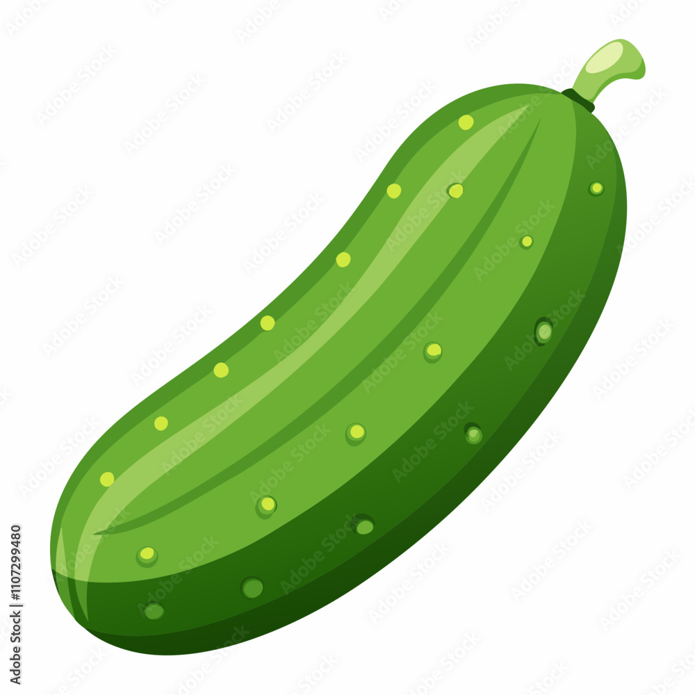 Cucumber With Vector Cucumber With Vector
