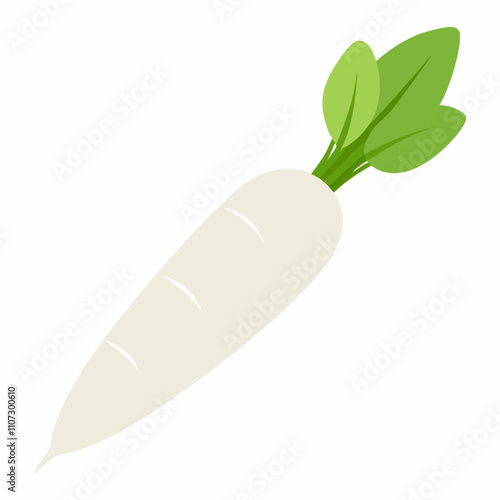 Long white radish With Vector