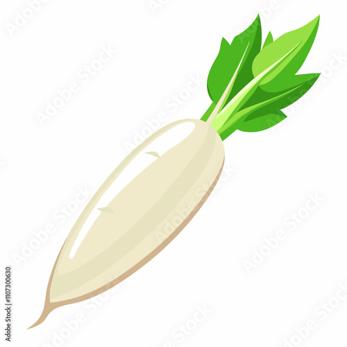 Long white radish With Vector