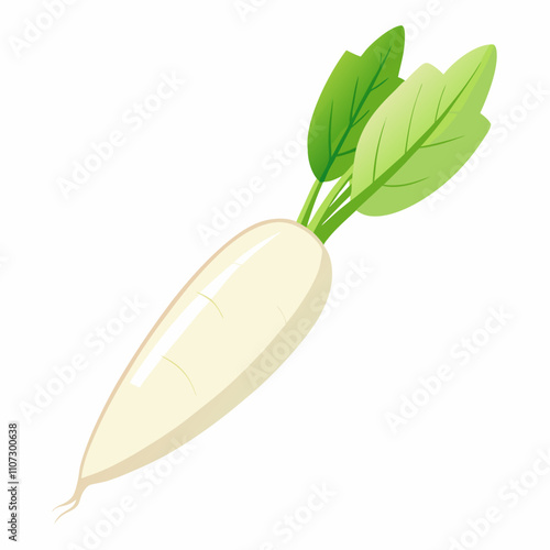 Long white radish