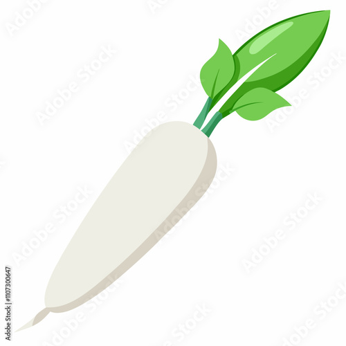 Long white radish