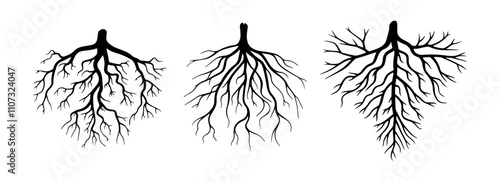 Various tree roots set, Tree root icon set, Tree roots silhouette collection, Tree Roots Vector Silhouette Set, Set of black tree roots silhouettes, Tree root logo collection, tree roots icon design