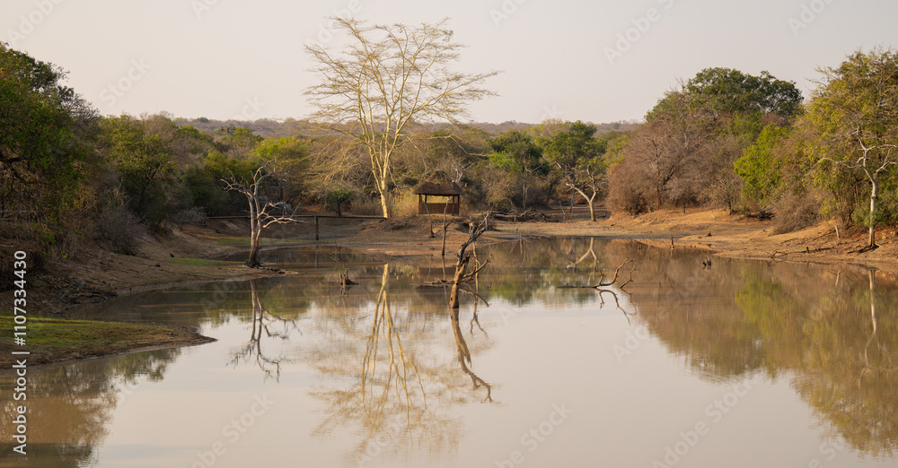 Landschaftsbild - Flora Botanik Busch im Krüger National Park - Kruger Nationalpark Südafrika