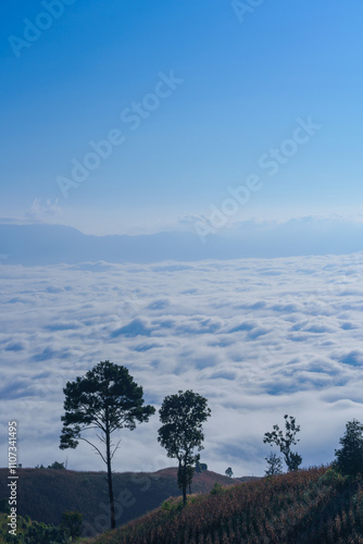 Beautiful scenery of the sea of mist in the morning at the Car Camping site with a viewpoint nature at Doi Ba Lu Kho Mountain in Mae Chaem, Chiang Mai, Thailand. Background concept. photo