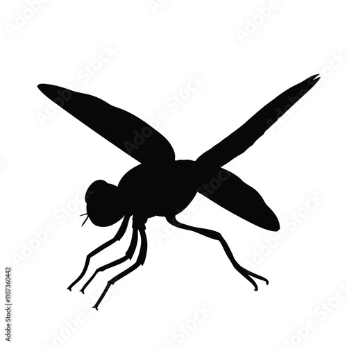 a black silhouette of a fly