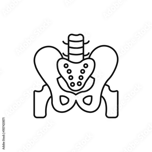 Pelvis icon Simple thin line flat symbol