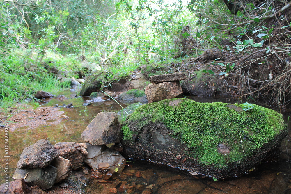 Bosque uruguayo en las sierras, naturalez y tranquilidad, bosque natural con arboles y rio en un soleado dia. La paz de la naturaleza uruguaya en las sierras. Villa serrana uruguay Bosque uruguayo en las sierras, naturalez y tranquilidad, bosque natural con arboles y rio en un soleado dia. La paz de la naturaleza uruguaya en las sierras. Villa serrana uruguay