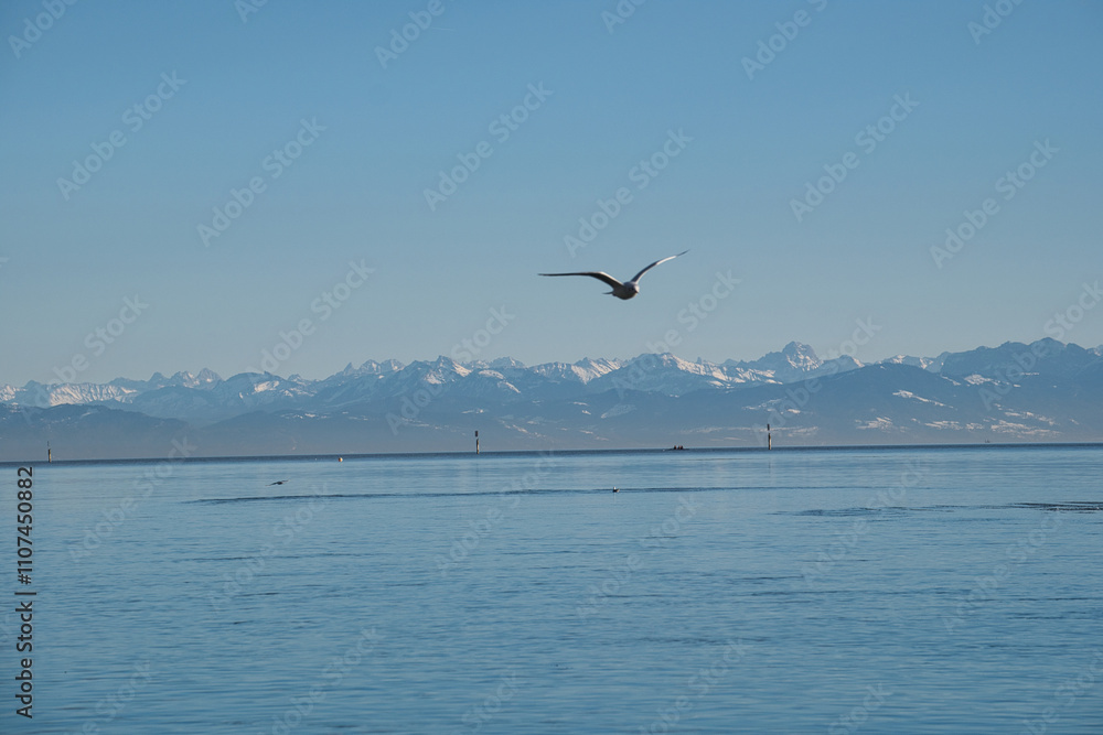 Fototapeta premium Bodensee, Alpensicht bei Föhn von Konstanz aus