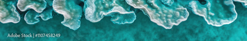 Underwater coral textures in vibrant turquoise water photo