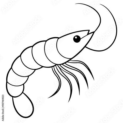 Shrimp on White Background Vector photo