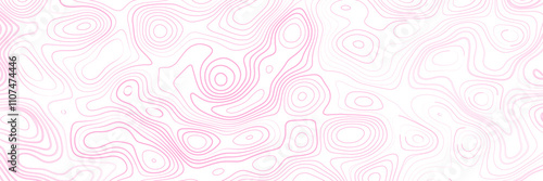 Topography or geographic contour map background vector banner. Topographic map patterns white paper.