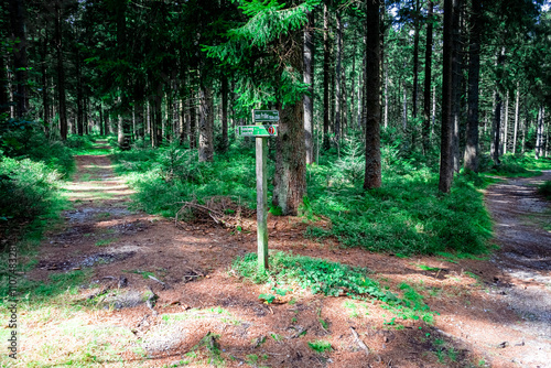 Hiking to Saustein and Proeller Summits in the Bavarian Forests Germany. photo