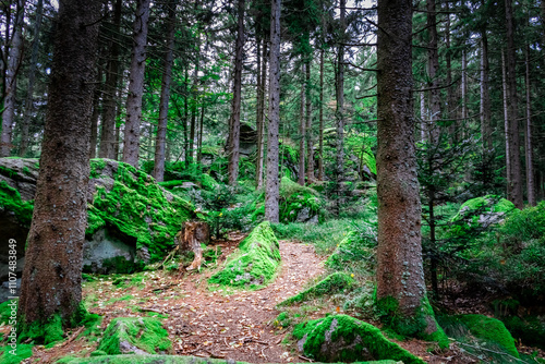 Hiking to Saustein and Proeller Summits in the Bavarian Forests Germany. photo