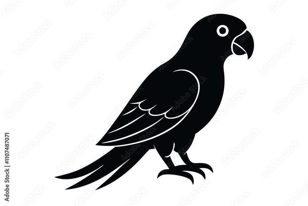 Fototapeta premium Parrot Bird vector