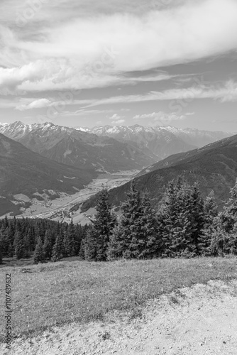 Wallpaper Mural Sommerzeit in den Alpen Torontodigital.ca