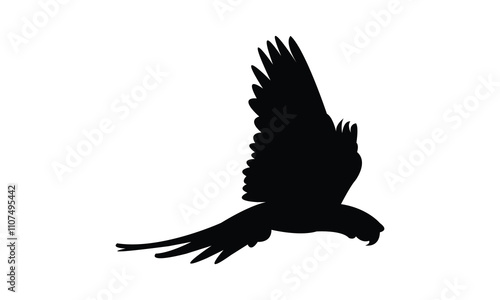 Flying Macaw Bird Silhouette Design  And Vector Illustration. 