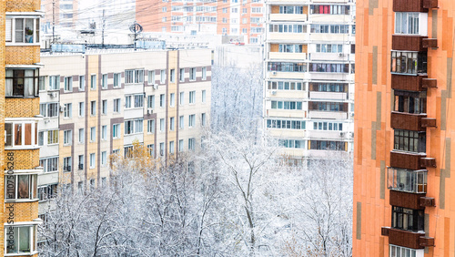 top view of first snow covered tree in city yard photo