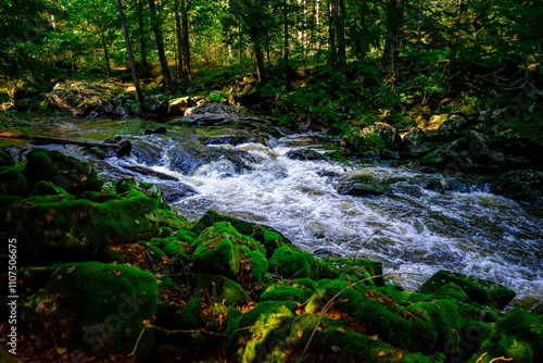 Hiking along ILZ River near Diessenstein in the Bavarian Forests Germany. photo