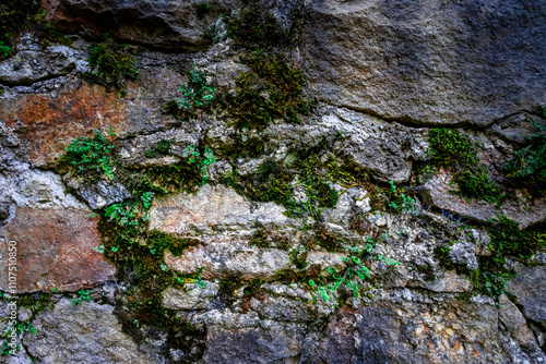  Medieval Stonewall near Diessenstein in the Bavarian Forests Germany.